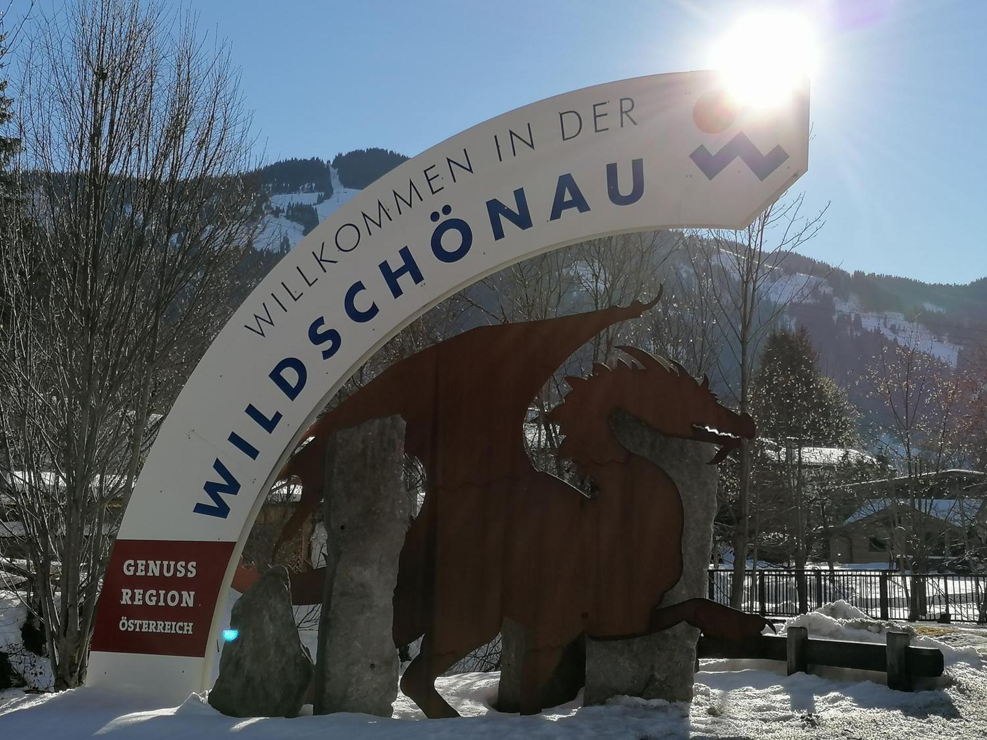 Ferienwohnung Wildschoenau By Fewo-Plan In Panoramalage Wild191 Thierbach المظهر الخارجي الصورة